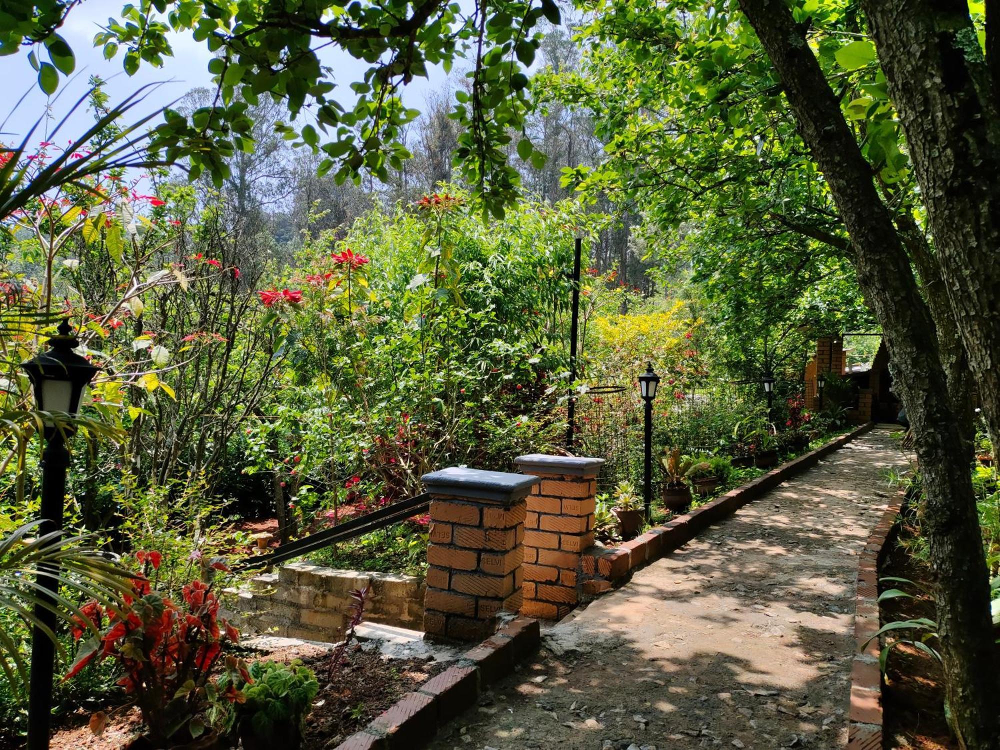 Pear Tree Entire 2Bhk Villa コタジリ エクステリア 写真