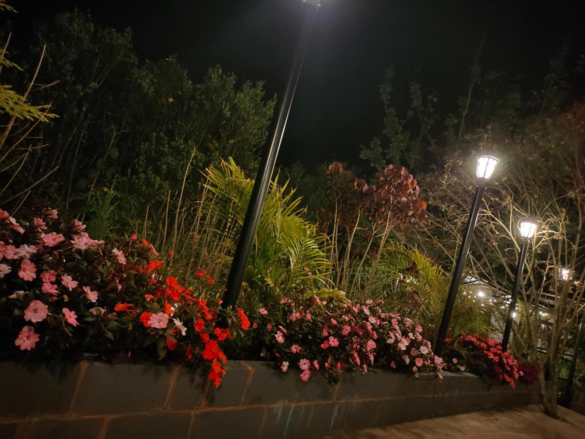 Pear Tree Entire 2Bhk Villa コタジリ エクステリア 写真