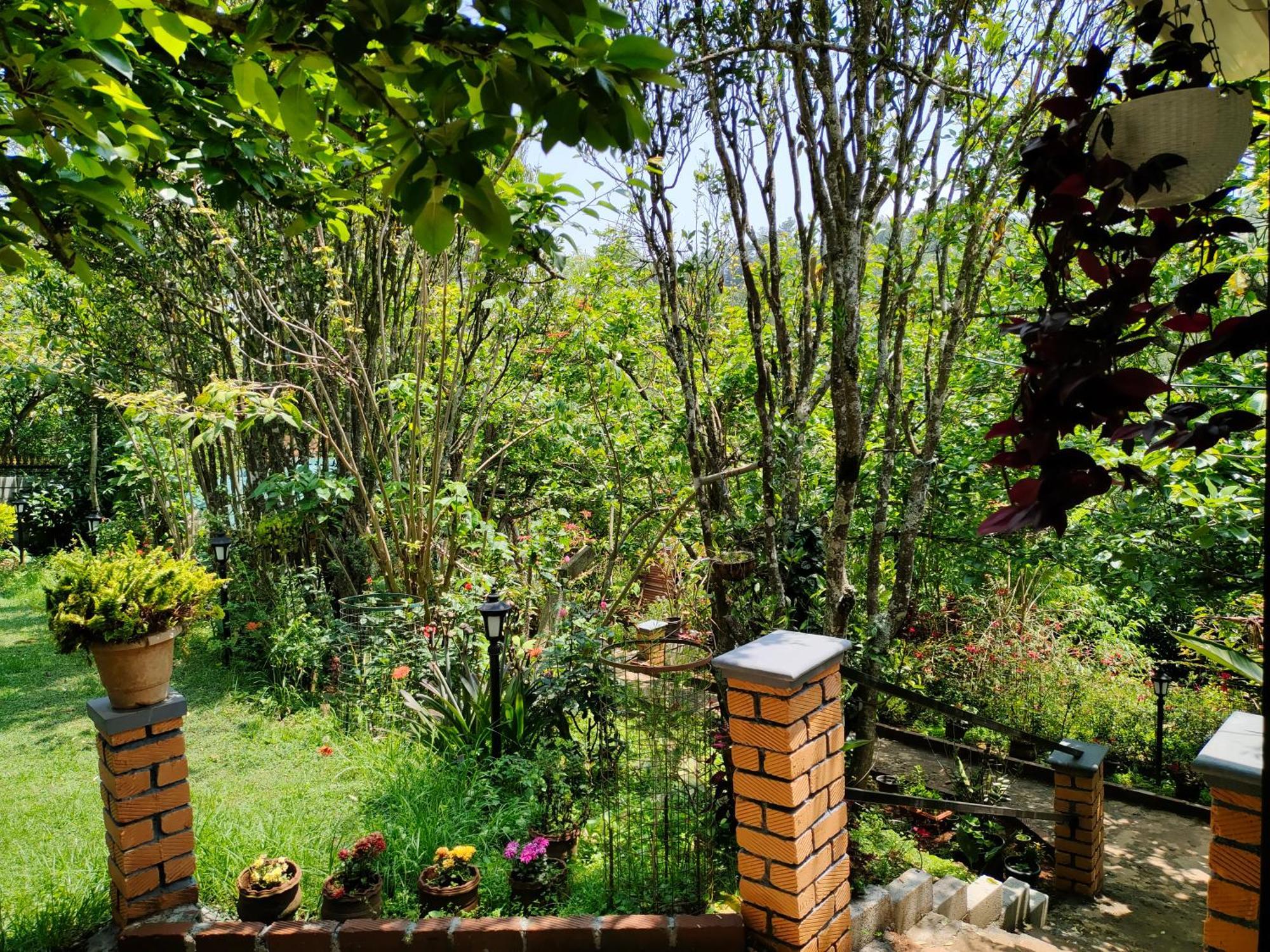 Pear Tree Entire 2Bhk Villa コタジリ エクステリア 写真